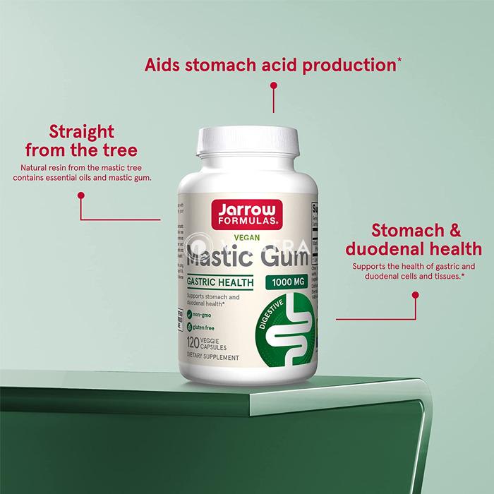 Mastic Gum - Jarrow Formulas - HK